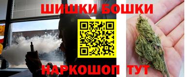стаф Дубна