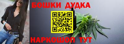 стаф Дубна