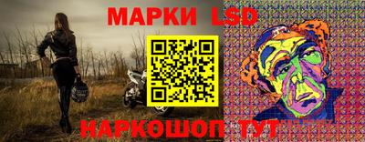 стаф Дубна