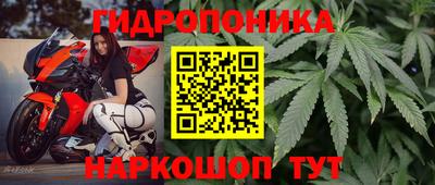 ПСИЛОЦИБИНОВЫЕ ГРИБЫ Донской