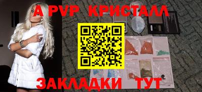 стаф Дубна