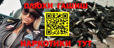 стаф Дубна