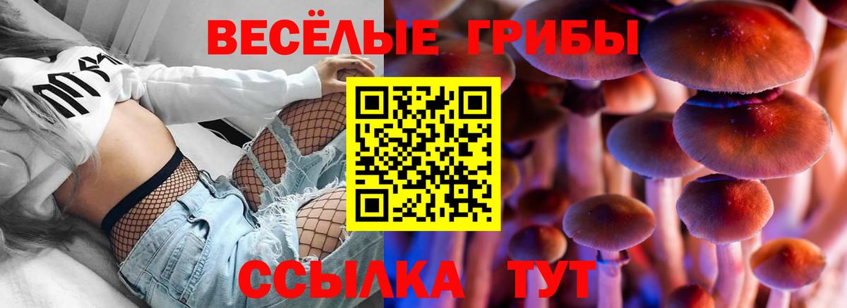 Галлюциногенные грибы GOLDEN TEACHER Кострома